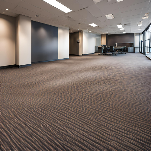 Image of Carpet Cleaned by Professionals