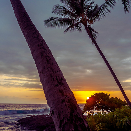 Cleaning in Hawaii